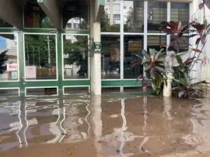 Ingrid Elisabet Marxen, diretora do Museu Histórico Visconde de São Leopoldo