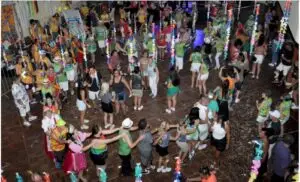 Cordões fazem sucesso no Carnaval de São Leopoldo