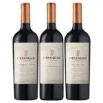 Stefanello Reserva é destaque da Werle Vinhos na Feira Loucura por Sapatos