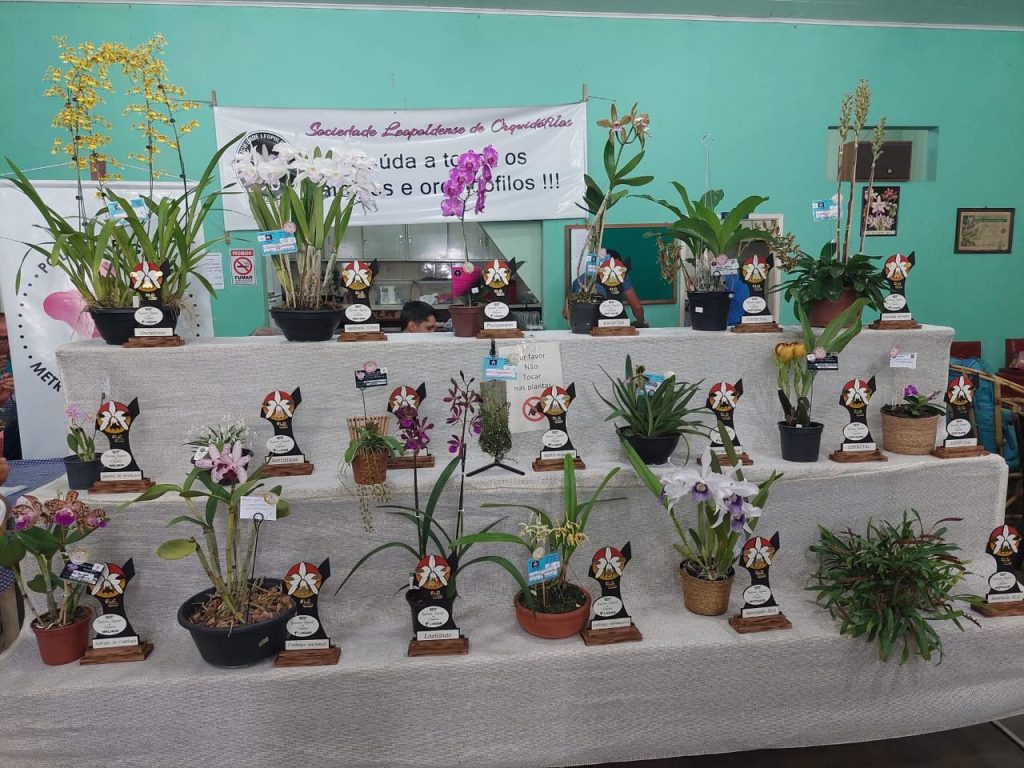 São Leopoldo recebe 133ª Exposição Regional de Orquídeas nos dias 29 e 30 de novembro